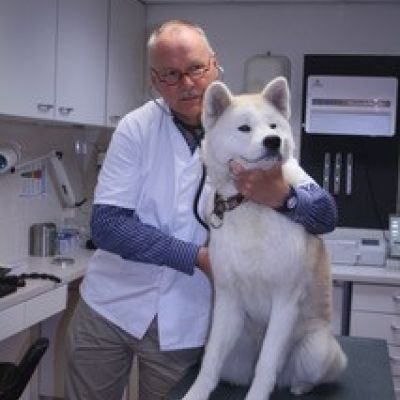 Interview met Henk den Hartog, dierenarts